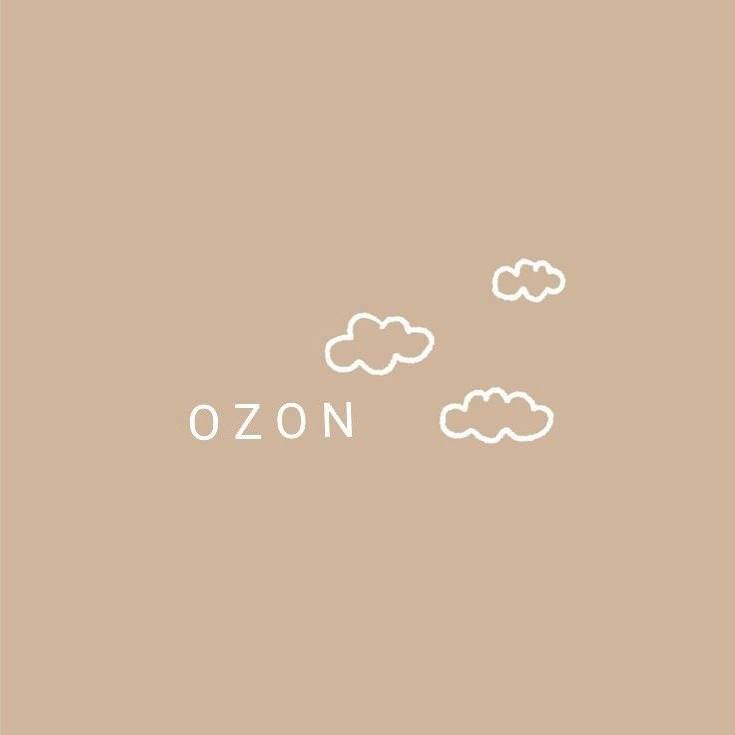 Обложка: Автоутилизация возвратов на Ozon: что учесть селлеру