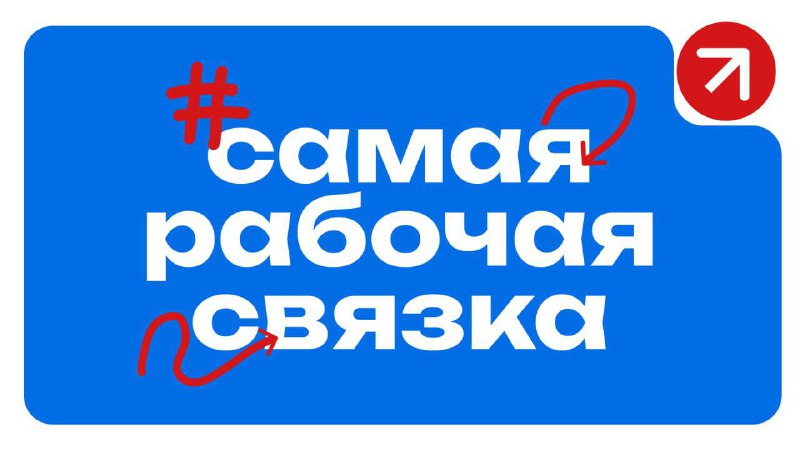 Обложка: Как селлеру выбрать полезный контент и не утонуть в инфошуме